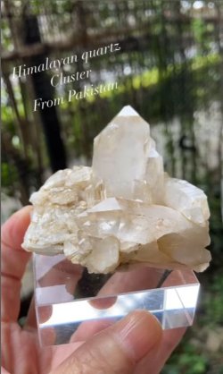 画像5: ヒマラヤンクォーツ　クラスター，ハシュピ　パキスタン産（Himalayan quartz Cluster From Pakistan）