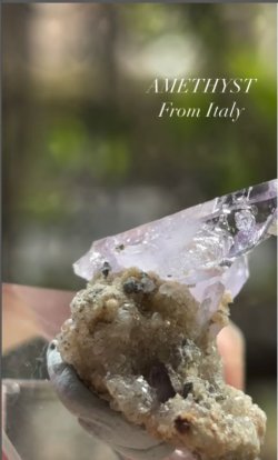 画像5: アメジスト　サルディーニャ島 イタリア産（AMETHYST From Italy）