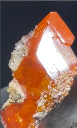 画像5: ウルフェナイト　アメリカ産（WULFENITE, Red Cloud Mine, Arizona, U.S.A.）