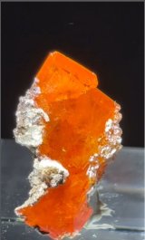 ウルフェナイト　アメリカ産（WULFENITE, Red Cloud Mine, Arizona, U.S.A.）