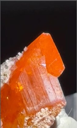 画像3: ウルフェナイト　アメリカ産（WULFENITE, Red Cloud Mine, Arizona, U.S.A.）