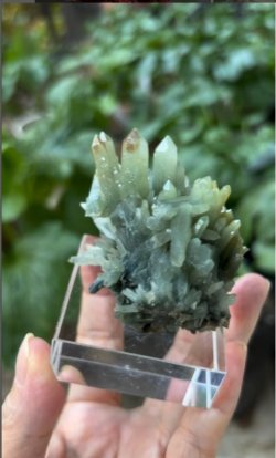 画像2: 水晶 プレース(緑石英)　イタリア産 ( Fluorite, Boltry quarry, Seilles, Andenne, Namur, Wallonia, Belgium )