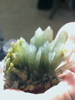 画像1: 水晶 プレース(緑石英)　イタリア産 ( Fluorite, Boltry quarry, Seilles, Andenne, Namur, Wallonia, Belgium )