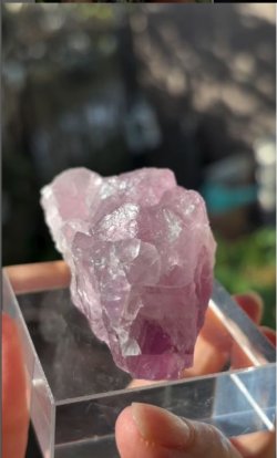 画像4: フローライト 浙江省 中国産 ( Fluorite, Zhejiang Province, China )