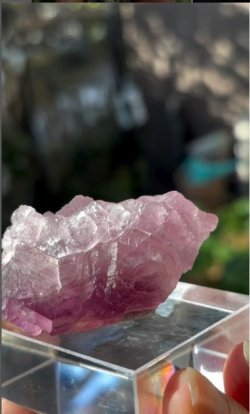 画像5: フローライト 浙江省 中国産 ( Fluorite, Zhejiang Province, China )