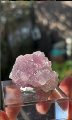 画像3: フローライト 浙江省 中国産 ( Fluorite, Zhejiang Province, China )