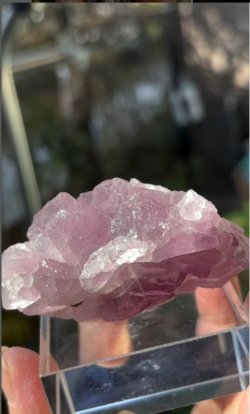 画像1: フローライト 浙江省 中国産 ( Fluorite, Zhejiang Province, China )