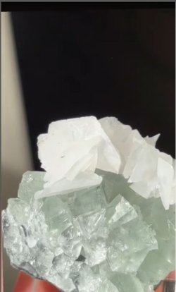 画像5: フローライト シャンファーリン カルサイト共生　中国産 ( Fluorite Calsite, Xianghualing Mine, Linwu Co., Chenzhou, Hunan, China )