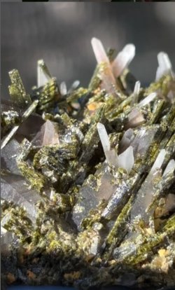 画像5: ヘマタイト クォーツ エピドート　ペルー産 ( Hematite Quarz Epidote, San Felipe Mine, Sartimbamba,a Libertad, Peru )