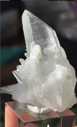 画像4: ヒマラヤンン水晶 クラスター　シガール渓谷 パキスタン産 ( Himalayan Quarz, Shigar Valley, Skardo District, Gilgit-Baltistan, Pakistan )