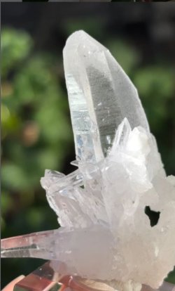 画像3: ヒマラヤンン水晶 クラスター　シガール渓谷 パキスタン産 ( Himalayan Quarz, Shigar Valley, Skardo District, Gilgit-Baltistan, Pakistan )