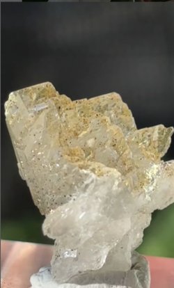 画像2: ヒマラヤンクォーツ ゴールデンヒーラー　パキスタン ハシュビ鉱山 ( Himalayan Crystal Golden Healer, Skardu Hashbi mines, Pakistan )