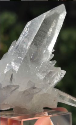 画像2: ヒマラヤンン水晶 クラスター　シガール渓谷 パキスタン産 ( Himalayan Quarz, Shigar Valley, Skardo District, Gilgit-Baltistan, Pakistan )