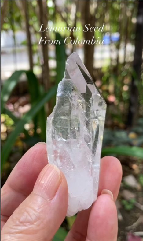 レムリアンシード　コロンビア産（Lemurian Seed From Colombia）