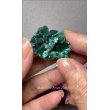 画像1: マラカイト　ザンビア産（Malachite From Zambia） (1)