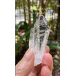 画像2: レムリアンシード　コロンビア産（Lemurian Seed From Colombia） (2)