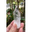 画像5: レムリアンシード　コロンビア産（Lemurian Seed From Colombia） (5)