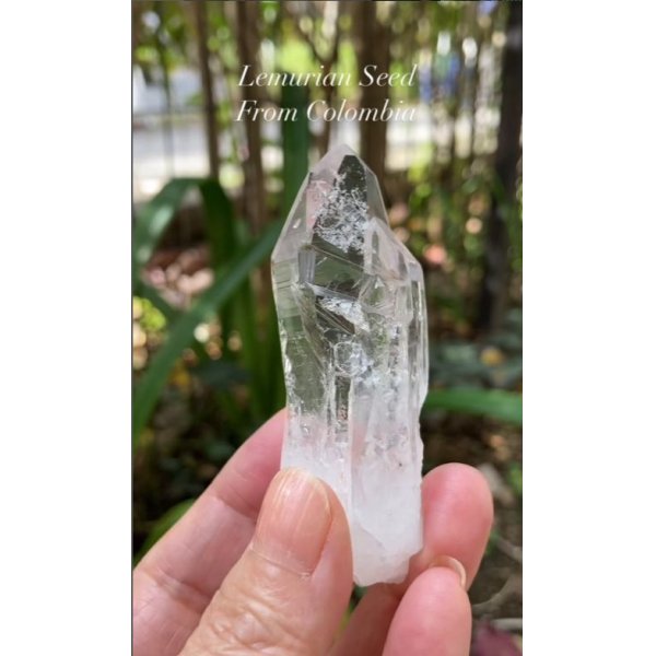 画像5: レムリアンシード　コロンビア産（Lemurian Seed From Colombia） (5)