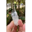 画像3: レムリアンシード　コロンビア産（Lemurian Seed From Colombia） (3)