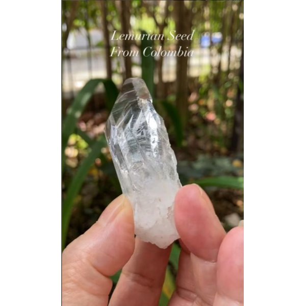 画像3: レムリアンシード　コロンビア産（Lemurian Seed From Colombia） (3)