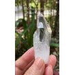 画像4: レムリアンシード　コロンビア産（Lemurian Seed From Colombia） (4)