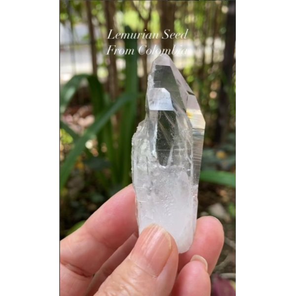 画像4: レムリアンシード　コロンビア産（Lemurian Seed From Colombia） (4)