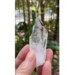 画像1: レムリアンシード　コロンビア産（Lemurian Seed From Colombia） (1)