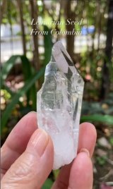 画像: レムリアンシード　コロンビア産（Lemurian Seed From Colombia）