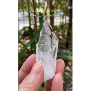 画像: レムリアンシード　コロンビア産（Lemurian Seed From Colombia）