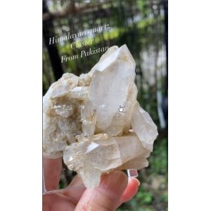 画像: ヒマラヤンクォーツ　クラスター，ハシュピ　パキスタン産（Himalayan quartz Cluster From Pakistan）