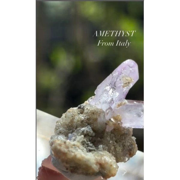 画像4: アメジスト　サルディーニャ島 イタリア産（AMETHYST From Italy） (4)