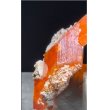 画像4: ウルフェナイト　アメリカ産（WULFENITE, Red Cloud Mine, Arizona, U.S.A.） (4)