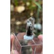 画像5: クォーツ アクチノライト トレモライト　マダガスカル産 ( Quarz Actinolite Tremlite, Ambalavao, Fianarantsoa, Madagascar ) (5)