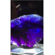 画像2: フローライト　ベルギー産 ( Fluorite, Boltry quarry, Seilles, Andenne, Namur, Wallonia, Belgium ) (2)