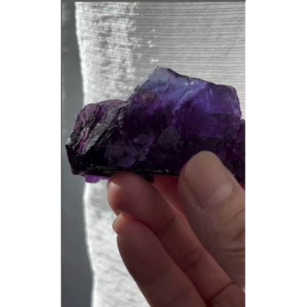 画像4: フローライト　ベルギー産 ( Fluorite, Boltry quarry, Seilles, Andenne, Namur, Wallonia, Belgium ) (4)