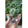 画像4: 水晶 プレース(緑石英)　イタリア産 ( Fluorite, Boltry quarry, Seilles, Andenne, Namur, Wallonia, Belgium ) (4)