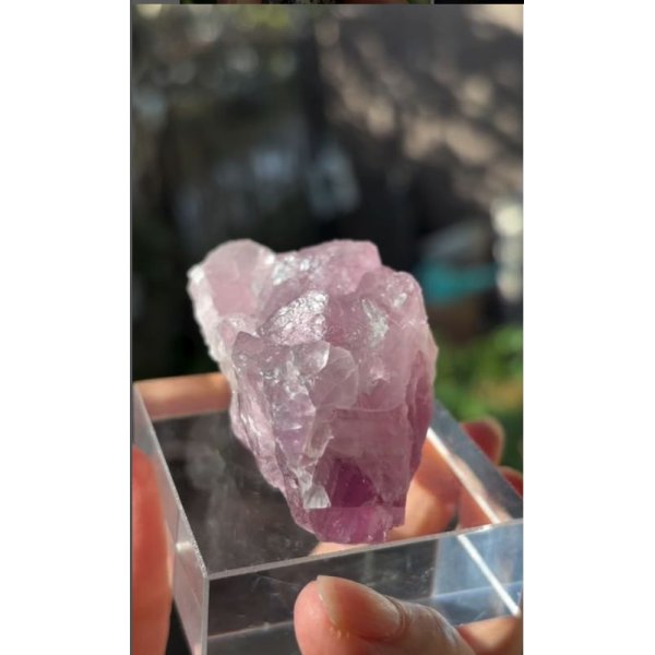 画像4: フローライト 浙江省 中国産 ( Fluorite, Zhejiang Province, China ) (4)