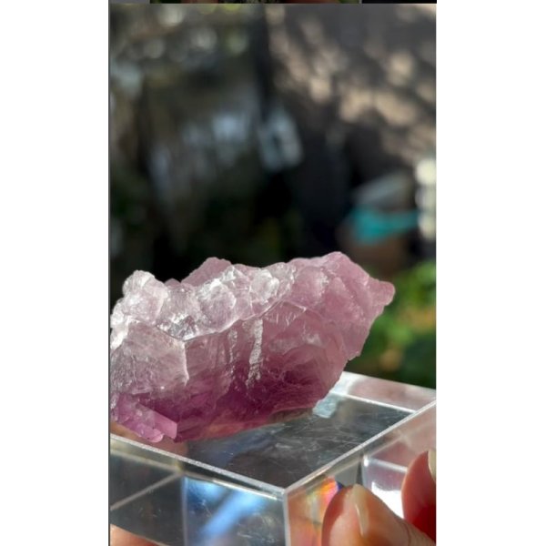 画像5: フローライト 浙江省 中国産 ( Fluorite, Zhejiang Province, China ) (5)