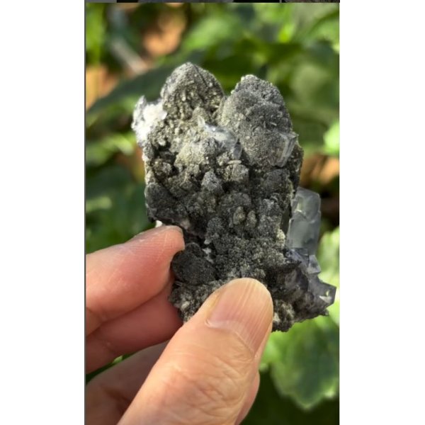 画像4: ヤオガンシャン フローライト スティブナイト カルサイト共生　福建省 中国産 ( Fluorite Stibnite Calcite, Yaogangxian Mine, Chenzhou, Hunan Province, China ) (4)