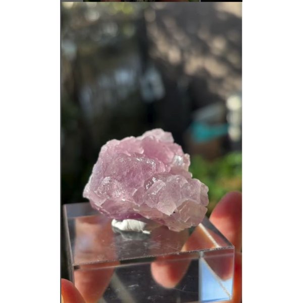 画像3: フローライト 浙江省 中国産 ( Fluorite, Zhejiang Province, China ) (3)