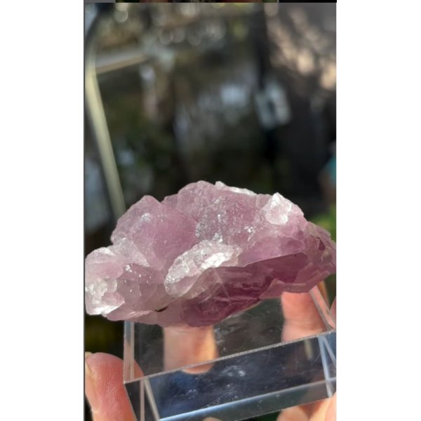 画像1: フローライト 浙江省 中国産 ( Fluorite, Zhejiang Province, China ) (1)