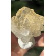 画像4: ヒマラヤンクォーツ ゴールデンヒーラー　パキスタン ハシュビ鉱山 ( Himalayan Crystal Golden Healer, Skardu Hashbi mines, Pakistan ) (4)